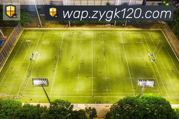 乐竞在线网页版入口发展历程